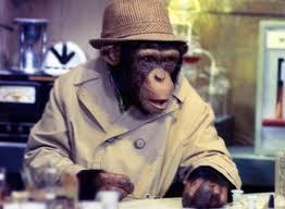 BradleyDiJulio's profile picture. 