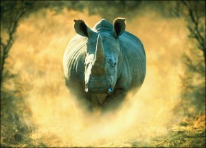 JMSDirectInc's profile picture. We're a young & thriving independently owned Marketing Firm. We specialize in Campaign Construction/Implementation for Telecommunications & Energy clientele