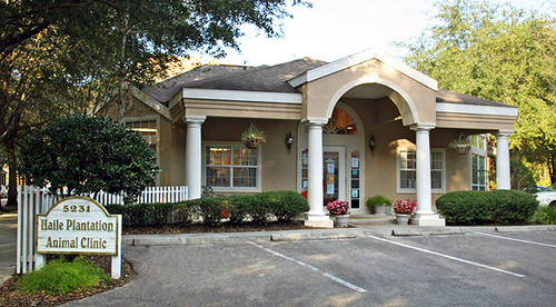 Haileanimal's profile picture. Veterinary practice in Gainesville, FL committed to customized health care in a compassionate environment and outstanding patient care with a personal touch.