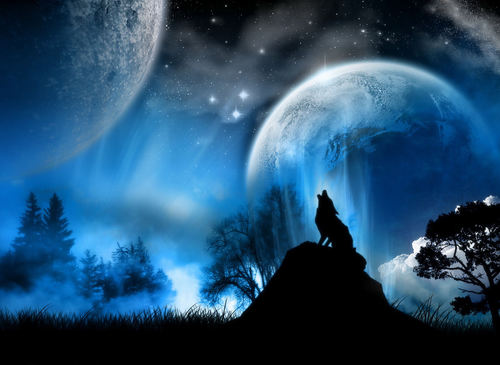 lema_felipe's profile picture. .