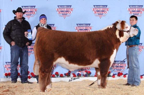 joshua45martin's profile picture. 