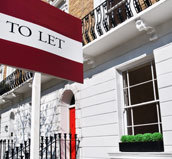 pads247's profile picture. We will be opening our on line letting agency early May, official date to be confirmed  for more info contact me davidng@pads247.info