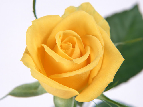 USA latest information about jobs, technology, research, community, cars, services, travel, tours, pets, movies, hollywood.