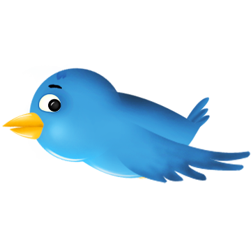 SoloBirdy1's profile picture. Social local marketing, bringing you tweet success
