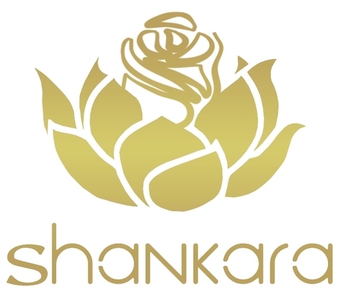 Shankara’s groundbreaking natural skincare line combines Ayurvedic wisdom and advanced science for ultimate skin transformation.