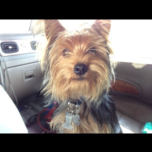 Kytrucker1s's profile picture. 