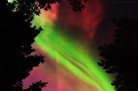 BestAmericangrl's profile picture. 