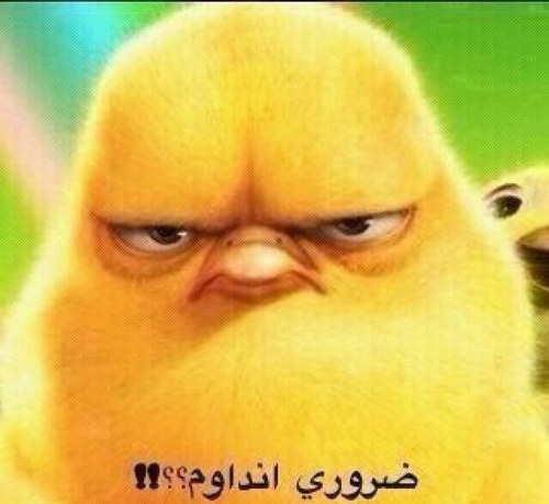 alfanoos44's profile picture. العلم ينير دربي،والقراءة تصقل عقلي،والتجربة هي استاذي