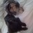 Trisha Wade 🕷️#FBPE 🇪🇺🐟💙#FBPA🇺🇦🌻 (@preshn9) 's Twitter Profile
