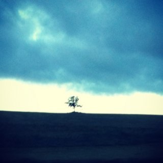 avafrostie's profile picture. 