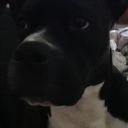 SaraRaney - @SaraRaney - Twitter