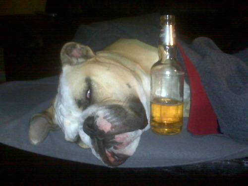 Bigbadbills2003's profile picture. 