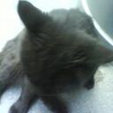 Vera Liu - @Vera_BJ - Twitter