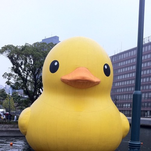 hm_kuhp's profile picture. 関西の某病院勤務の診療情報管理士です。2児の父です。卓球、たまにフットサル、たまにゴルフ。