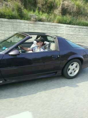 ronelvis1's profile picture. An old prior USAF NCO, rabidly anti #reichwing and #republiklan, #voteblue. Blocked by @RudyGiuliani, @AmyKremer, and now @KariLake.