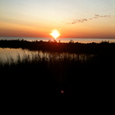 Nancy Main - @islanddottirs - Twitter