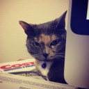 Emily Stauffer - @EmilyAnglesey - Twitter