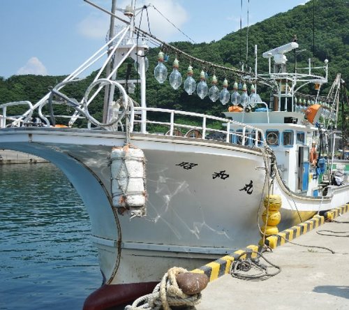 新潟県村上市寝屋漁港から漁師直販の海産物をネット注文で承っています。春夏限定の釣り船は粟島大瀬ジギング&キャスティング対応 https://t.co/JA8vpuzNBI からお問い合わせ下さい。