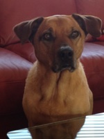 MOREinSports's profile picture. Listener, sport psychology professional, recovering professional sport executive