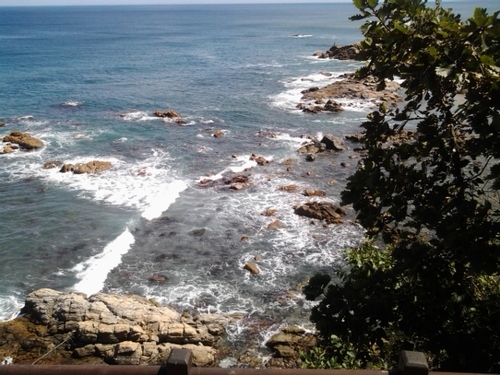 bok0773's profile picture. 12월 19일은 제 18대 대통령선거일입니다 D~1♠♠♠