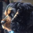 Skip Anderson - @Skipanderson3 - Twitter