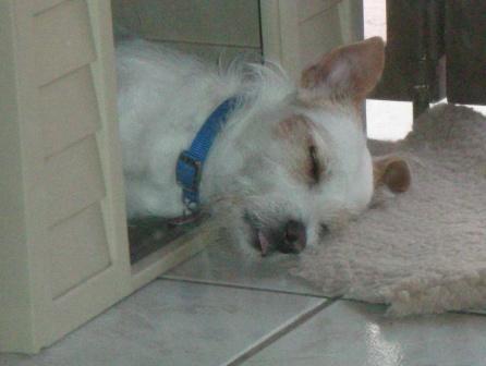 CharlesPR's profile picture. 