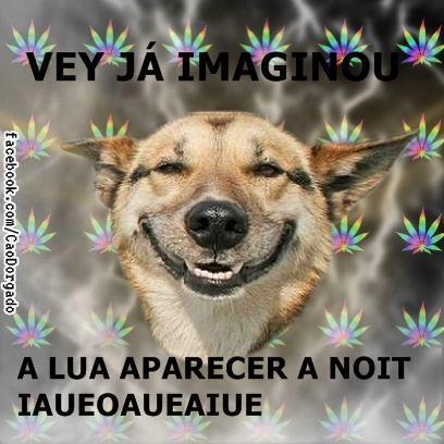 O PINTINHO :::::::::::::::::::::::::::::::::::::::::::::::::::::::::::::::::::::::::::::::::::::::::::::::::::::::::::::::::::::MINHAU *-*