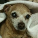 melissa parker - @MelParker67 - Twitter