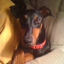 thomas rushing - @RushingThomas - Twitter