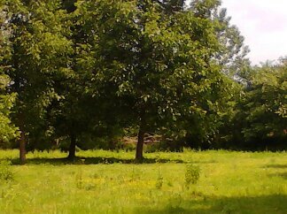 kalkan2012's profile picture. 05364844493