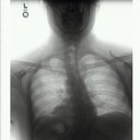 John Seele Jr. - @JohnSeeleJr - Twitter