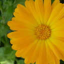 Nancy Beamish - @jazzyB23 - Twitter