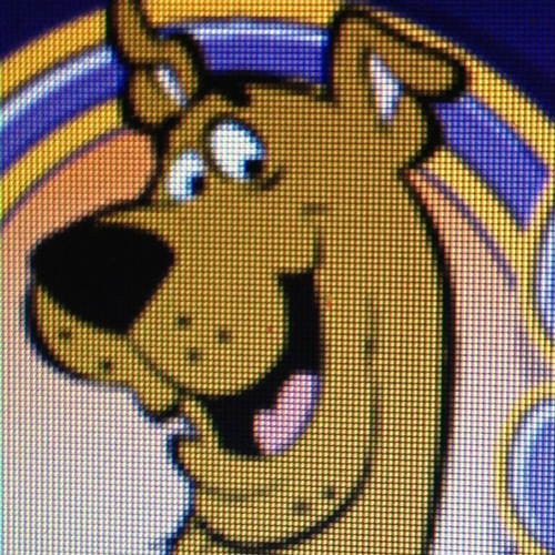 JamieRLindsay's profile picture. 