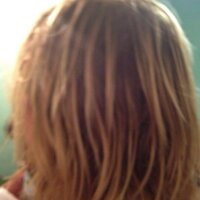 Taylor Hawkins Hair(@HawkinsHair) 's Twitter Profile Photo