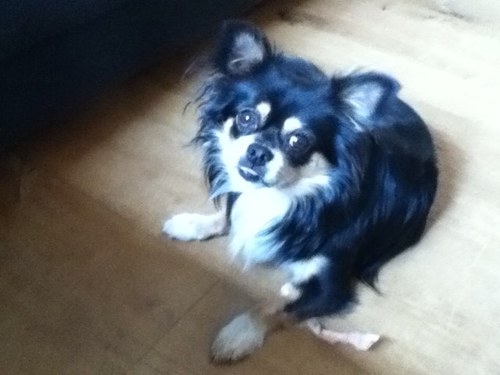 bowestheim11's profile picture. 