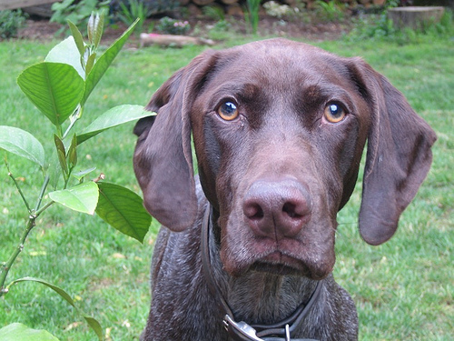 Victor_Kiriakis's profile picture. 