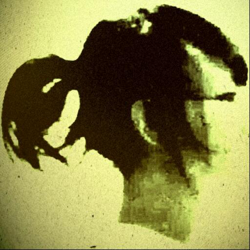 _bifurcation's profile picture. 