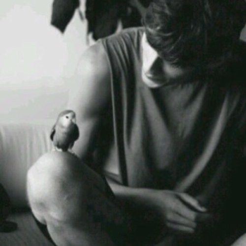 Barvanq8's profile picture. عاشقٌ لـ جنون الحرف ومُبحرٌ في زورق الكلمات لأزْرع أجمل الورود على هيئة تغريدات من نتاج فكري وعبقي وسرقتها تعتبر جريمة عقوبتها البلوك  #الكويت #kuwait  #خواطر