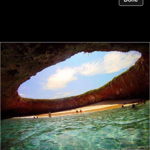 sofreshflynhigh's profile picture. 