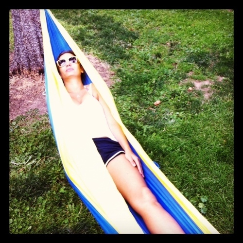 domenicala's profile picture. 