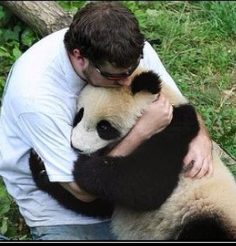 ElRorroHMO's profile picture. 