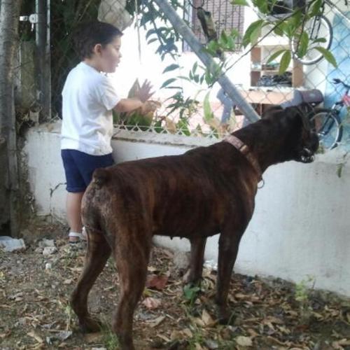 Amante de los animales y del Córdoba. 
Afortunado dueño de una preciosa perra llamada Nara, que me acompañó durante 10 felices años.