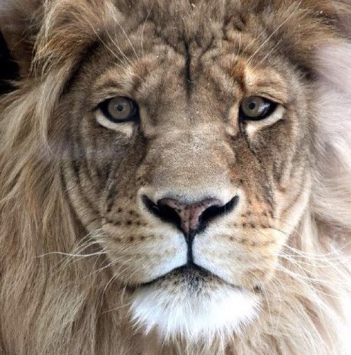 vdanniel's profile picture. 