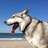 greendeal_john's profile image