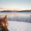 Sue Lovelace - @SueLovelace01 - Twitter