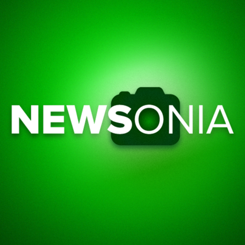 newsoniatweets's profile picture. 