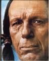 Wayne Traina Profile