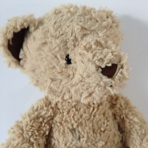 I am The Blogging Bear.

Teddington's the name, Blogging's the game !