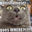 Chris Genay - @ChrisGenay - Twitter