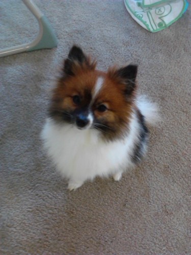 _mena1906's profile picture. 